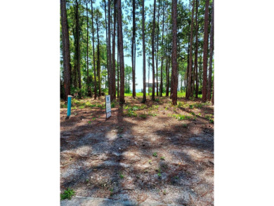The absolute best cleared bay vies lot in St James Bay Golf & on St. James Bay in Florida - for sale on GolfHomes.com, golf home, golf lot