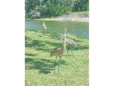 Highly sought-after Golf Pointe Circle Villa in the Palm Aire on Palm Aire Country Club of Sarasota in Florida - for sale on GolfHomes.com, golf home, golf lot