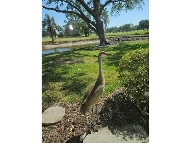 Highly sought-after Golf Pointe Circle Villa in the Palm Aire on Palm Aire Country Club of Sarasota in Florida - for sale on GolfHomes.com, golf home, golf lot