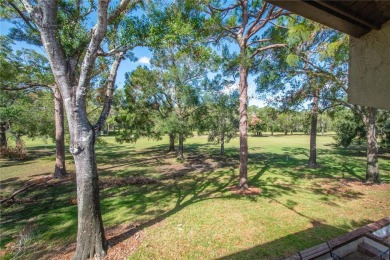 Welcome to your dream oasis in the desirable East Lake Corridor! on Tarpon Woods Golf Club in Florida - for sale on GolfHomes.com, golf home, golf lot