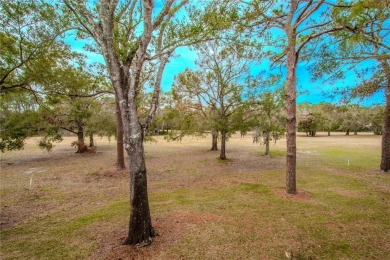 Welcome to your dream oasis in the desirable East Lake Corridor! on Tarpon Woods Golf Club in Florida - for sale on GolfHomes.com, golf home, golf lot