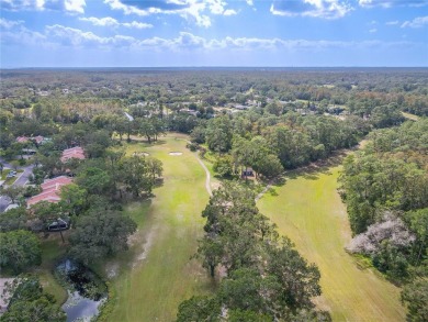 Welcome to your dream oasis in the desirable East Lake Corridor! on Tarpon Woods Golf Club in Florida - for sale on GolfHomes.com, golf home, golf lot