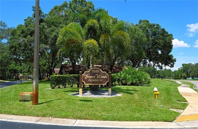 Welcome to your dream oasis in the desirable East Lake Corridor! on Tarpon Woods Golf Club in Florida - for sale on GolfHomes.com, golf home, golf lot