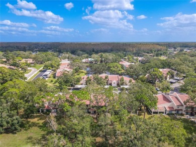 Welcome to your dream oasis in the desirable East Lake Corridor! on Tarpon Woods Golf Club in Florida - for sale on GolfHomes.com, golf home, golf lot