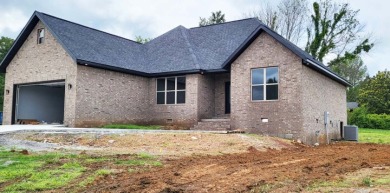Exciting new build at Big Creek Estates on Big Creek Golf and Country Club in Arkansas - for sale on GolfHomes.com, golf home, golf lot