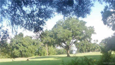 Come build your dream home on this beautiful golf course lot in on Citrus Springs Country Club in Florida - for sale on GolfHomes.com, golf home, golf lot