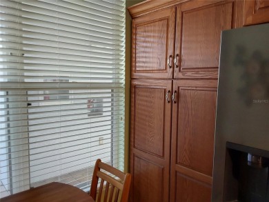 Just Reduced! Live the Florida Dream for LESS! ??

Why break the on Pinebrook/Ironwood Golf Course in Florida - for sale on GolfHomes.com, golf home, golf lot