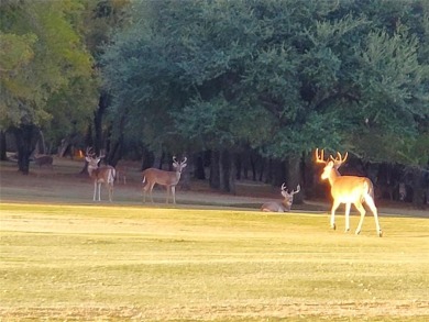 Two golf course lots located at the tee box of Hole 3 on the New on White Bluff Resort - New Course in Texas - for sale on GolfHomes.com, golf home, golf lot