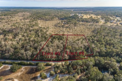 Your search ends here:  Over 5 Wooded Acres on a Paved Road with on Wildwood Country Club in Florida - for sale on GolfHomes.com, golf home, golf lot