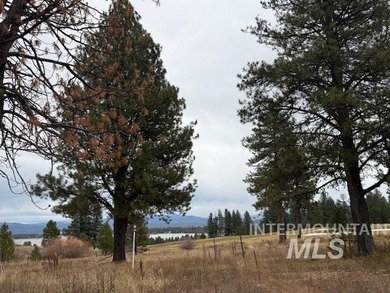 Discover Premier Living at Azure Estate on Osprey Meadows Golf on Osprey Meadows at Tamarack Resort in Idaho - for sale on GolfHomes.com, golf home, golf lot