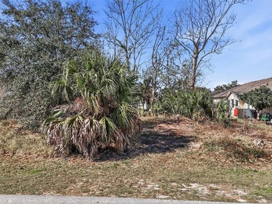 Start with the water. Build the rest.

This 80 by 125 foot on Palm Harbor Golf Club in Florida - for sale on GolfHomes.com, golf home, golf lot