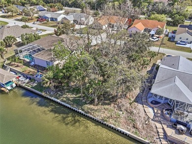 Start with the water. Build the rest.

This 80 by 125 foot on Palm Harbor Golf Club in Florida - for sale on GolfHomes.com, golf home, golf lot