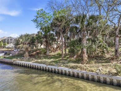 Start with the water. Build the rest.

This 80 by 125 foot on Palm Harbor Golf Club in Florida - for sale on GolfHomes.com, golf home, golf lot