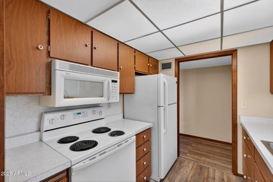 AMAZING, MOVE-IN READY 2 BDR/2 BATH IN BEAUTIFUL SUN CITY! on PalmBrook Country Club in Arizona - for sale on GolfHomes.com, golf home, golf lot