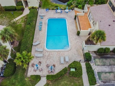 Beautifully Renovated 2-Bedroom Condo in Carrollwood's Pine Lake on Emerald Greens Golf Resort and Country Club in Florida - for sale on GolfHomes.com, golf home, golf lot