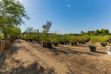 Seize a rare opportunity to own +-4.75 prime acres just a few on The Legacy Golf Resort in Arizona - for sale on GolfHomes.com, golf home, golf lot