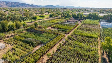 Seize a rare opportunity to own +-4.75 prime acres just a few on The Legacy Golf Resort in Arizona - for sale on GolfHomes.com, golf home, golf lot