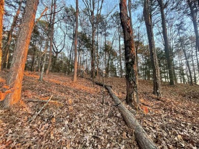 Welcome to your own slice of paradise in beautiful Fairfield Bay on Indian Hills Country Club in Arkansas - for sale on GolfHomes.com, golf home, golf lot