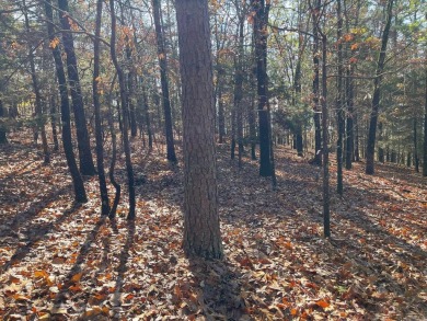 Welcome to your own slice of paradise in beautiful Fairfield Bay on Indian Hills Country Club in Arkansas - for sale on GolfHomes.com, golf home, golf lot