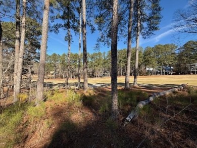 Brand new Burlington plan built by Green Park Homes in the world on Harbor Club Golf and Country Club in Georgia - for sale on GolfHomes.com, golf home, golf lot