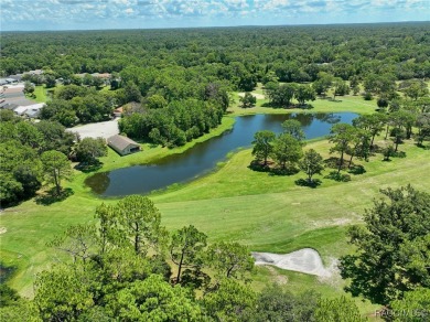 Long driveway and a majestic oak tree lead to this 3 bedroom 2 on Sugarmill Woods Golf and Country Club in Florida - for sale on GolfHomes.com, golf home, golf lot