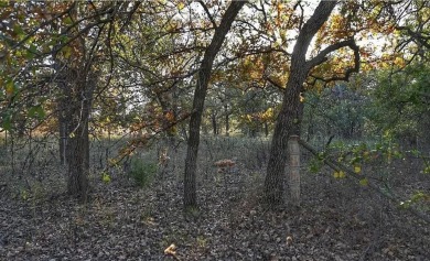 Investment! This perfectly wooded lot nestled right in the on Nocona Hills Golf Course in Texas - for sale on GolfHomes.com, golf home, golf lot