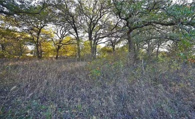 Investment! This perfectly wooded lot nestled right in the on Nocona Hills Golf Course in Texas - for sale on GolfHomes.com, golf home, golf lot