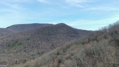 High elevation building lot with a great view at the top of Wild on Sky Valley Resort and Country Club in Georgia - for sale on GolfHomes.com, golf home, golf lot