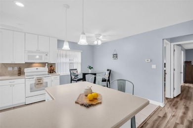 Enjoy easy, resort-inspired living in this beautifully updated on Highland Lakes Executive Golf Course in Florida - for sale on GolfHomes.com, golf home, golf lot