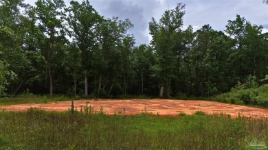 Build Your Dream Home on the last lot of its kind west of Route on Lakewood Golf Club in Alabama - for sale on GolfHomes.com, golf home, golf lot