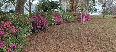 One or more photo(s) has been virtually staged. Citrus Hills on Citrus Hills Golf Club in Florida - for sale on GolfHomes.com, golf home, golf lot