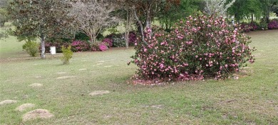 One or more photo(s) has been virtually staged. Citrus Hills on Citrus Hills Golf Club in Florida - for sale on GolfHomes.com, golf home, golf lot