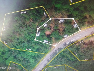Huge .59/acre wooded home site on a beautiful street within the on Tigers Eye Golf Links in North Carolina - for sale on GolfHomes.com, golf home, golf lot