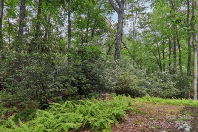 Experience mountain living at its finest in this stunning 4BR/2 on Connestee Falls Golf Club in North Carolina - for sale on GolfHomes.com, golf home, golf lot