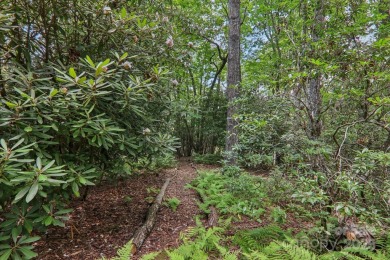 Experience mountain living at its finest in this stunning 4BR/2 on Connestee Falls Golf Club in North Carolina - for sale on GolfHomes.com, golf home, golf lot