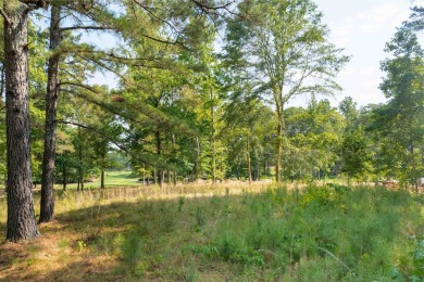 Nestled on the tee boxes of the #5 Signature Hole of the Jack on Great Waters Course At Reynolds Plantation in Georgia - for sale on GolfHomes.com, golf home, golf lot