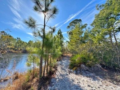 Searching for that special, private place for your next home on Bay Point Resort Golf Club in Florida - for sale on GolfHomes.com, golf home, golf lot