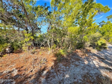 Searching for that special, private place for your next home on Bay Point Resort Golf Club in Florida - for sale on GolfHomes.com, golf home, golf lot