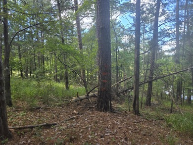 Outstanding Golf Course lot with water view and access, a rare on Monticello Golf Club At Savannah Lakes in South Carolina - for sale on GolfHomes.com, golf home, golf lot