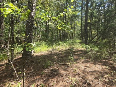 Outstanding Golf Course lot with water view and access, a rare on Monticello Golf Club At Savannah Lakes in South Carolina - for sale on GolfHomes.com, golf home, golf lot