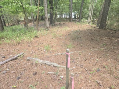 Outstanding Golf Course lot with water view and access, a rare on Monticello Golf Club At Savannah Lakes in South Carolina - for sale on GolfHomes.com, golf home, golf lot