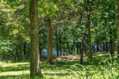 Calling all Chip & Joanna wannabes & weekend warriors!Tucked in on Kimberling City Golf Club in Missouri - for sale on GolfHomes.com, golf home, golf lot
