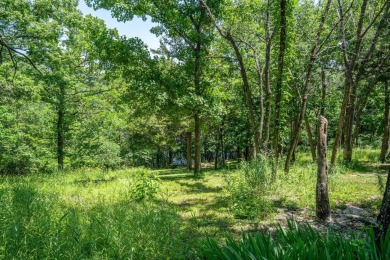Calling all Chip & Joanna wannabes & weekend warriors!Tucked in on Kimberling City Golf Club in Missouri - for sale on GolfHomes.com, golf home, golf lot