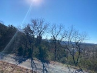 The potential for this lot is amazing, with clearing you would on Holiday Island Golf Course in Arkansas - for sale on GolfHomes.com, golf home, golf lot