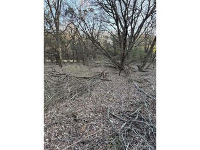 How would you like to walk out your back door, walk up the small on White Bluff Resort - Old Course in Texas - for sale on GolfHomes.com, golf home, golf lot
