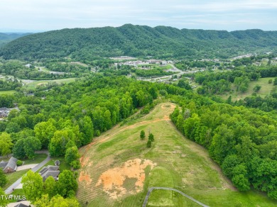 Welcome to your dream property in Gate City, VA! This 18+ acres on Scott County Park and Golf Course in Virginia - for sale on GolfHomes.com, golf home, golf lot