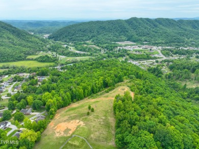 Welcome to your dream property in Gate City, VA! This 18+ acres on Scott County Park and Golf Course in Virginia - for sale on GolfHomes.com, golf home, golf lot