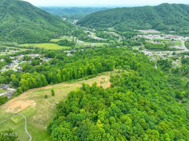 Welcome to your dream property in Gate City, VA! This 18+ acres on Scott County Park and Golf Course in Virginia - for sale on GolfHomes.com, golf home, golf lot