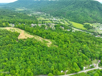 Welcome to your dream property in Gate City, VA! This 18+ acres on Scott County Park and Golf Course in Virginia - for sale on GolfHomes.com, golf home, golf lot