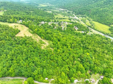 Welcome to your dream property in Gate City, VA! This 18+ acres on Scott County Park and Golf Course in Virginia - for sale on GolfHomes.com, golf home, golf lot